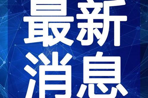 南关区最新爆料新闻视频,视频揭露惊人真相，引关注热议